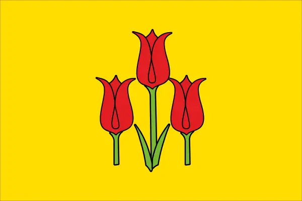 Флаг: Волоконовский район